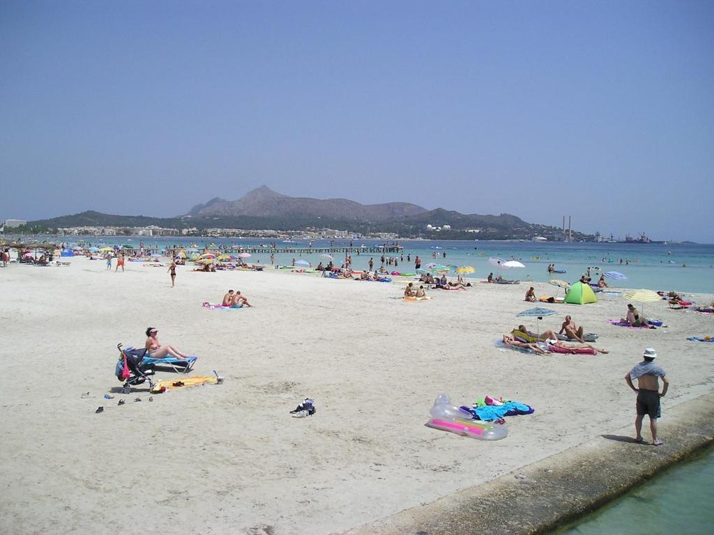 Apartaments Ses Dalies Port de Alcudia  Εξωτερικό φωτογραφία